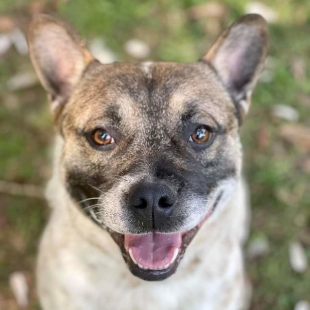 Photo of Chase