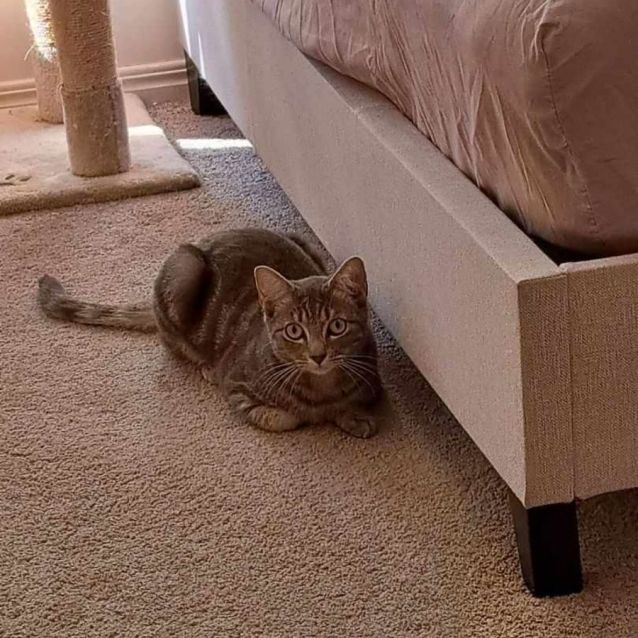 Photo of Duchess And Pearl