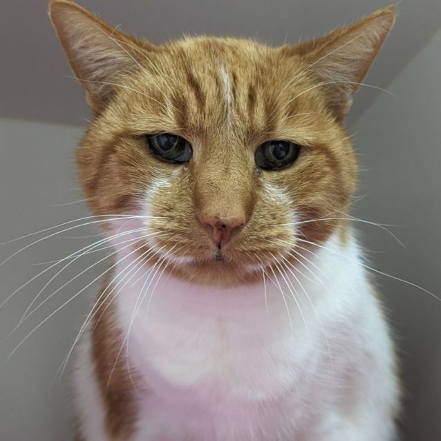 Photo of 🍷 Jesaulenko F02664 🍷