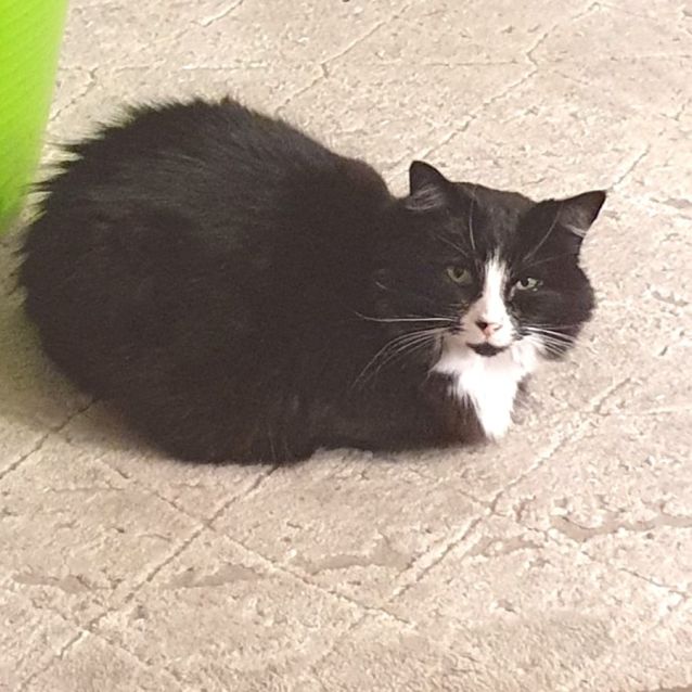 Photo of Walter And Jinx