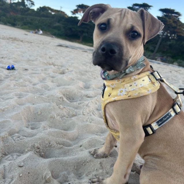 Photo of Lenny ✌️😎