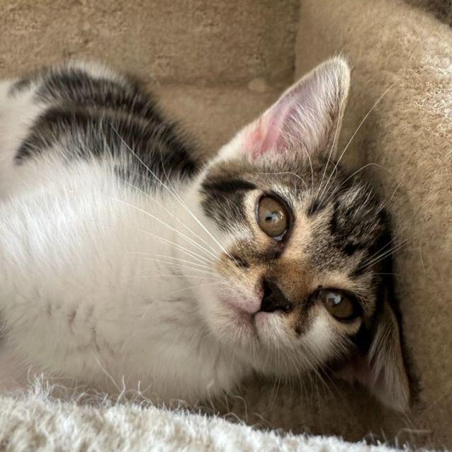 Photo of Freddie