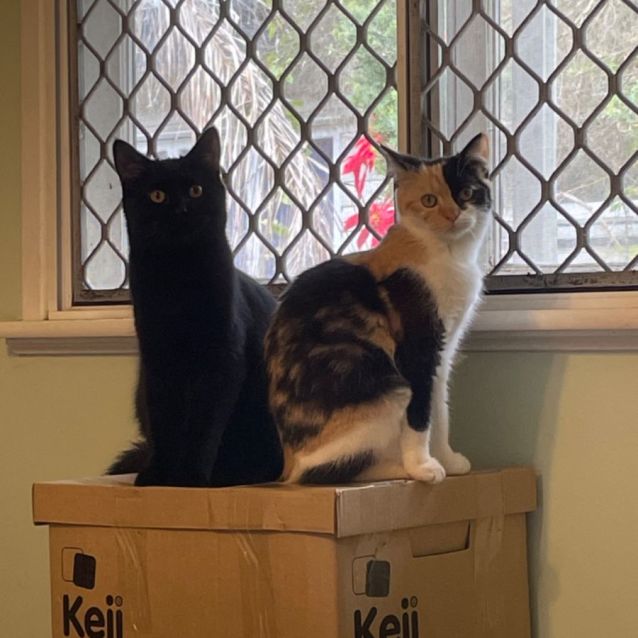 Photo of Callie And Bear