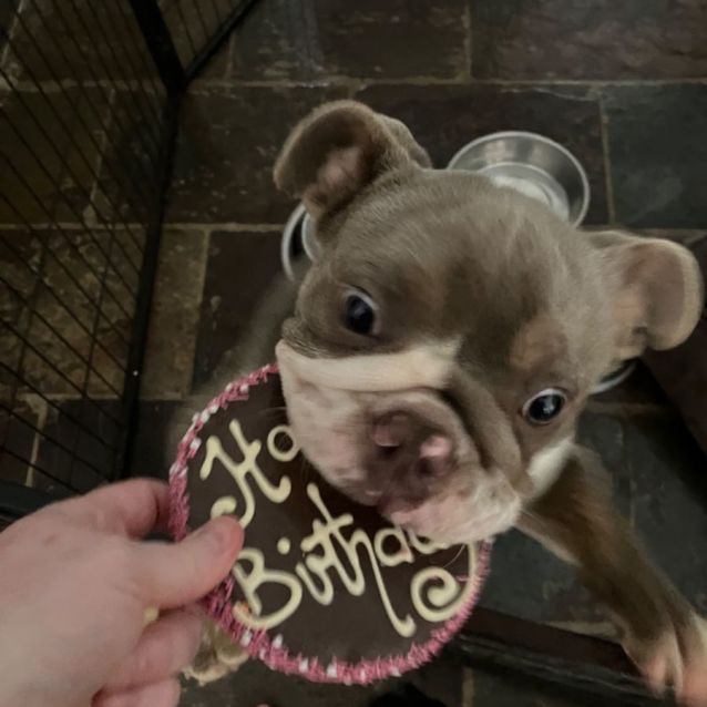 Photo of Charlie Brown