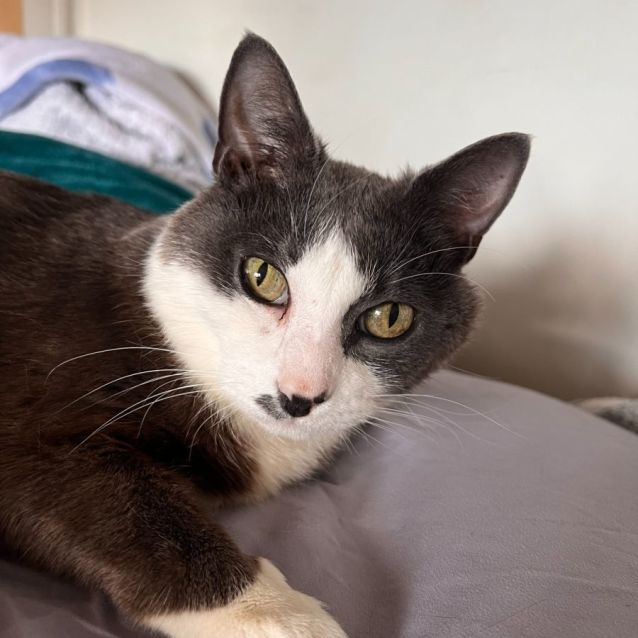 Photo of Missy 🪻🪻