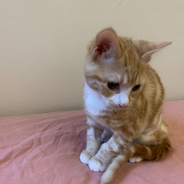 Photo of Jack