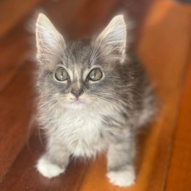 Photo of Freddie