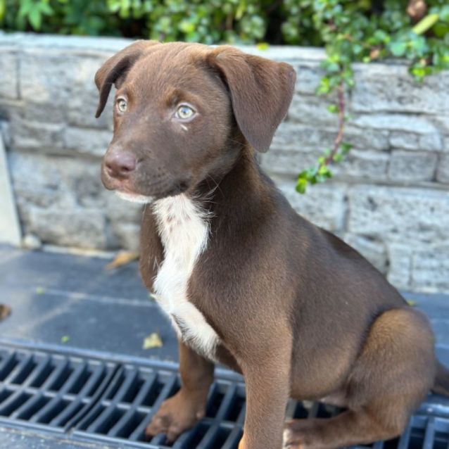 Photo of Lexi ❤️🎾