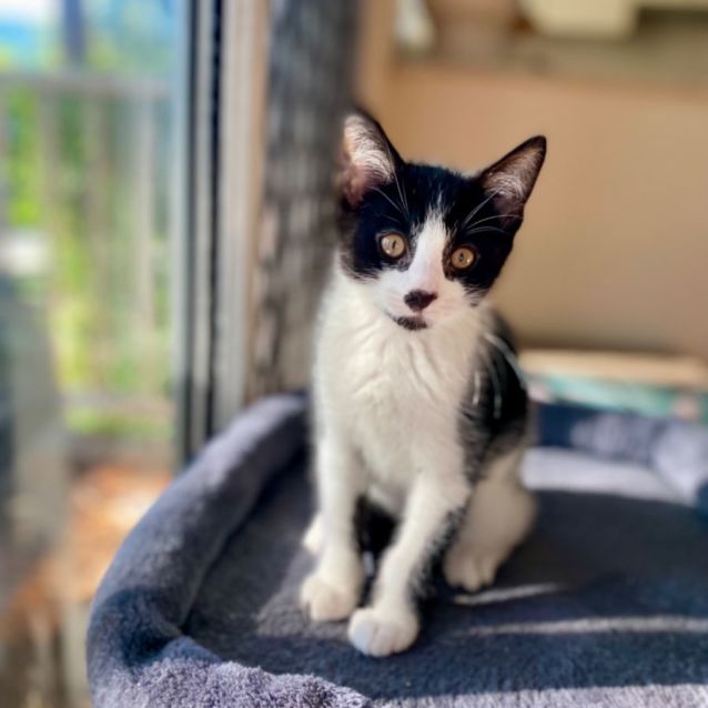 Photo of 🦇Mickey🦇