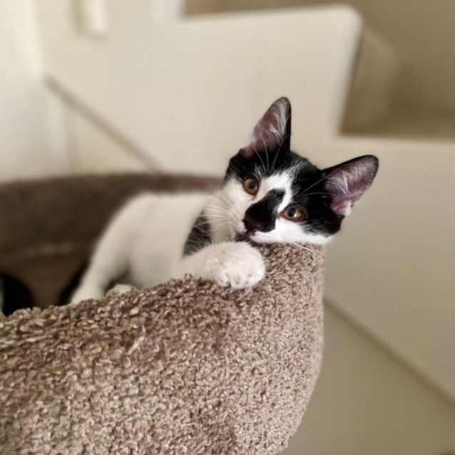 Photo of 🐨Blinky Bill🐨