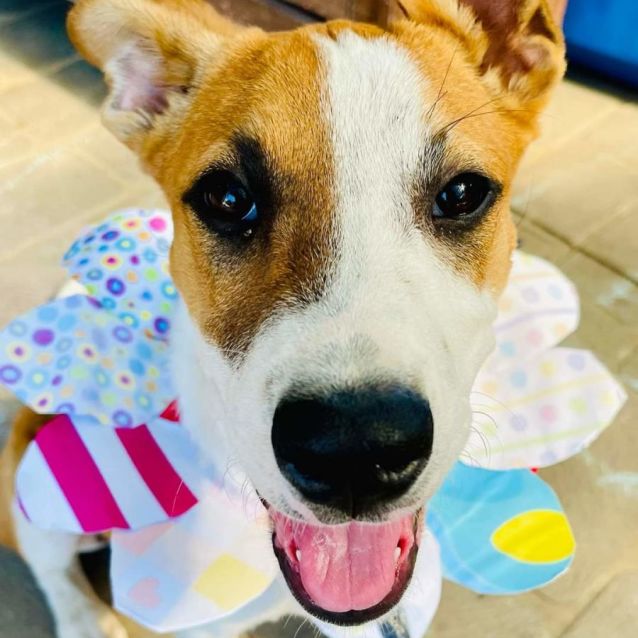 Photo of Princess Florine