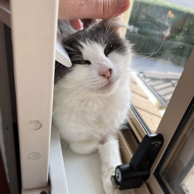 Photo of 💜 Oakley 💜