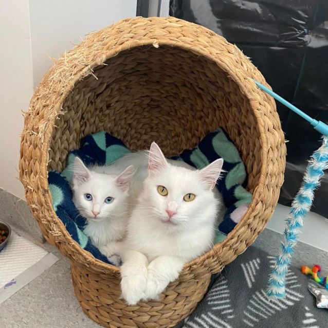 Photo of Paris & Toulouse 