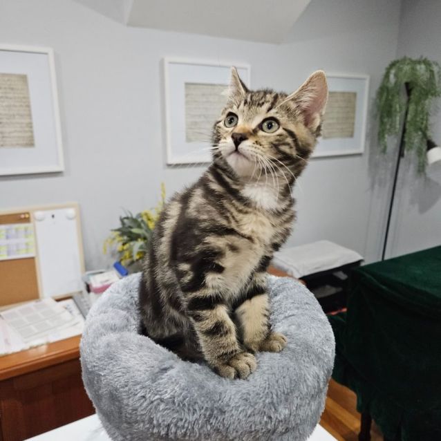Photo of Charlie