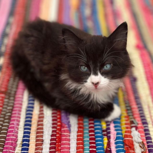 Photo of 🖤 Jonty 🖤