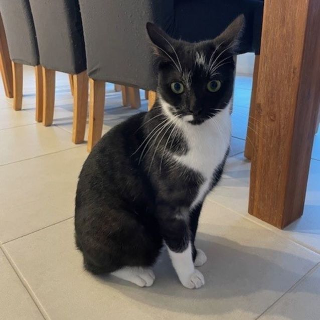 Photo of C1326 Frankie