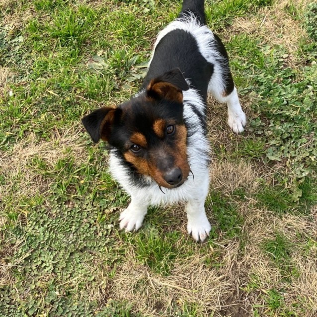 Photo of Otis