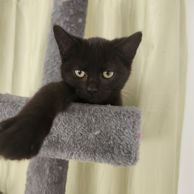 Photo of Agatha