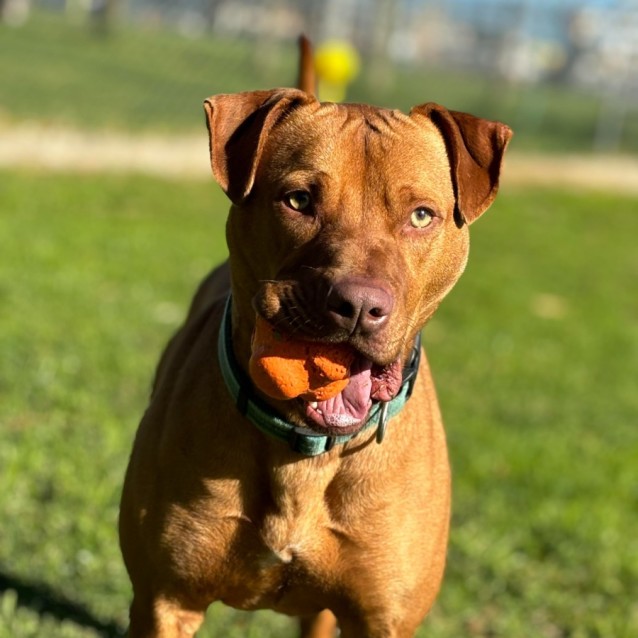 Photo of 🏆 Sawyer 5076  🏆