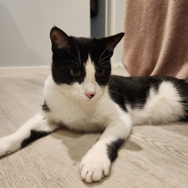 Photo of Roxy 