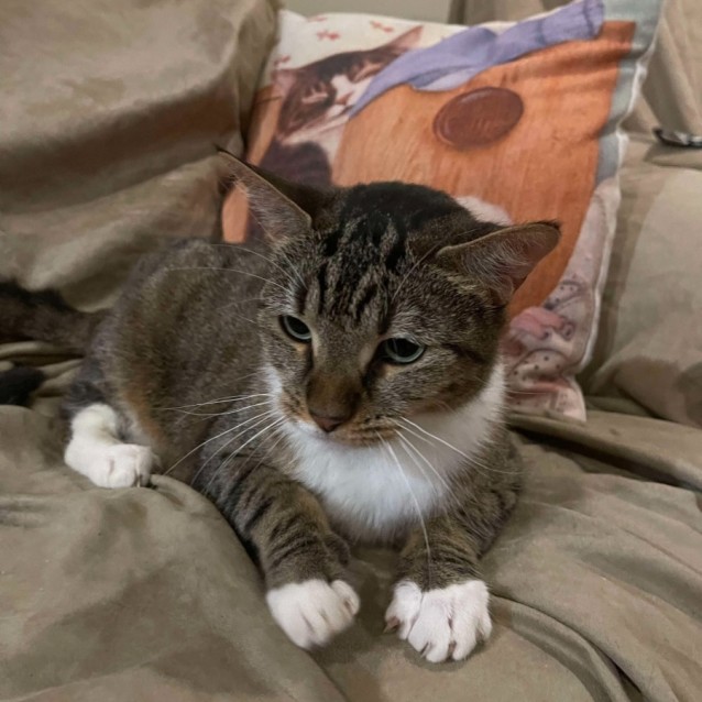 Photo of Lil Munchie 