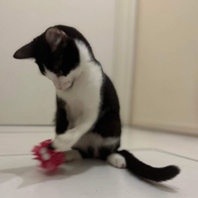 Photo of Leia