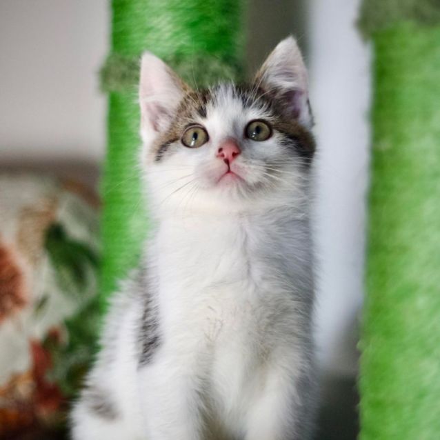 Photo of 💛 Oscar 💛 