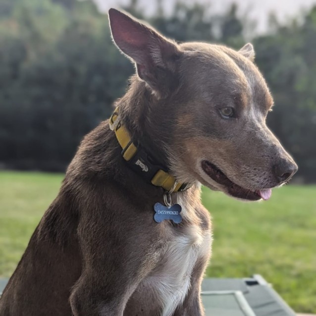 Photo of Reggie