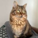 Photo of Amelia