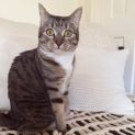 Photo of Willow 
