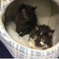 Photo of Spice & Sugar