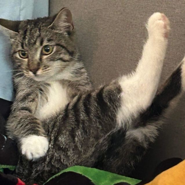 Photo of Stormi Girl