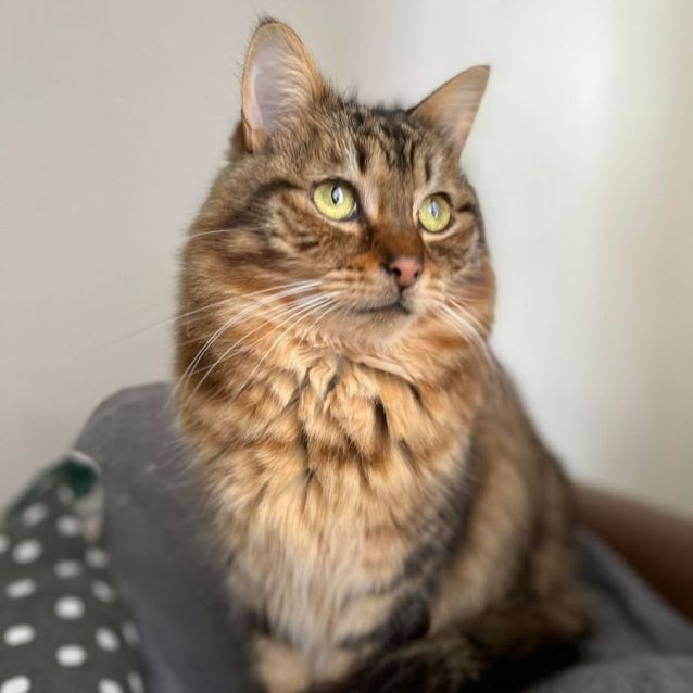 Photo of Amelia