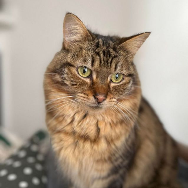Photo of Amelia