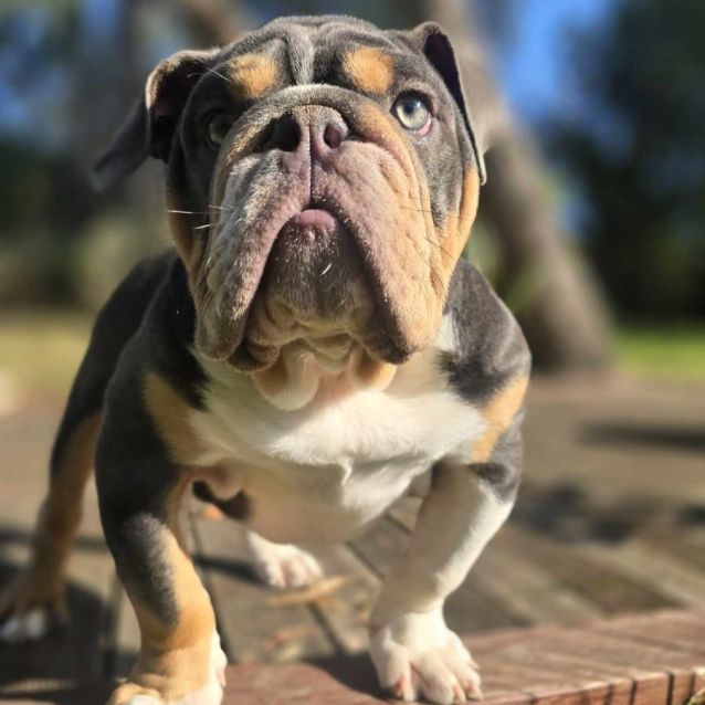 Photo of Mash!