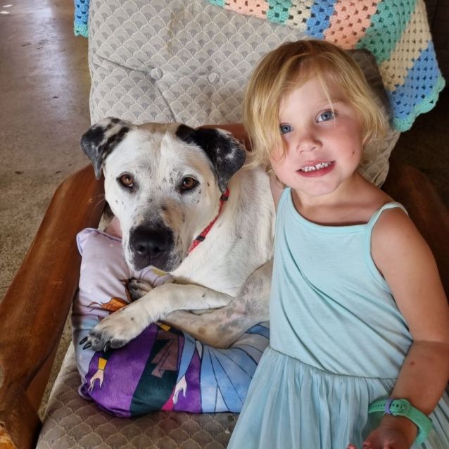 Photo of Clarabelle