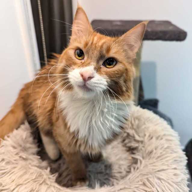 Photo of Misty & Brock