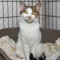 Photo of Maggie