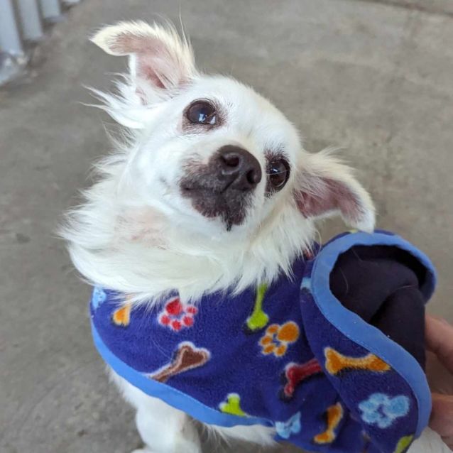 Photo of Baby & Penny