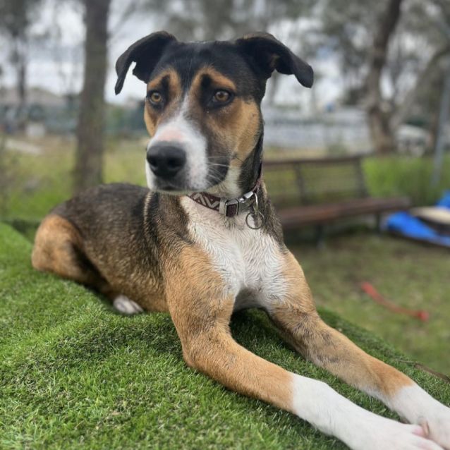 Photo of 🍄 Millie C04736 🍄