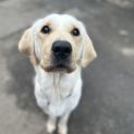 Photo of Gabby