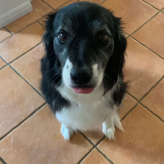 Photo of Frankie And Charlie