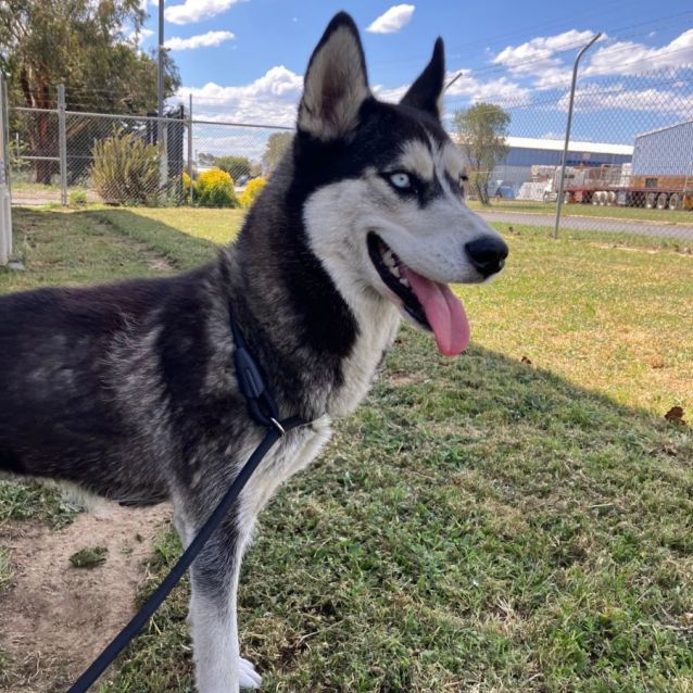 Photo of Skyla 