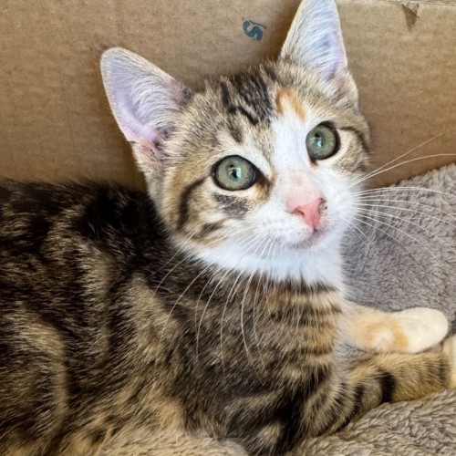 No photo for Bernadette