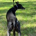 Photo of Irena