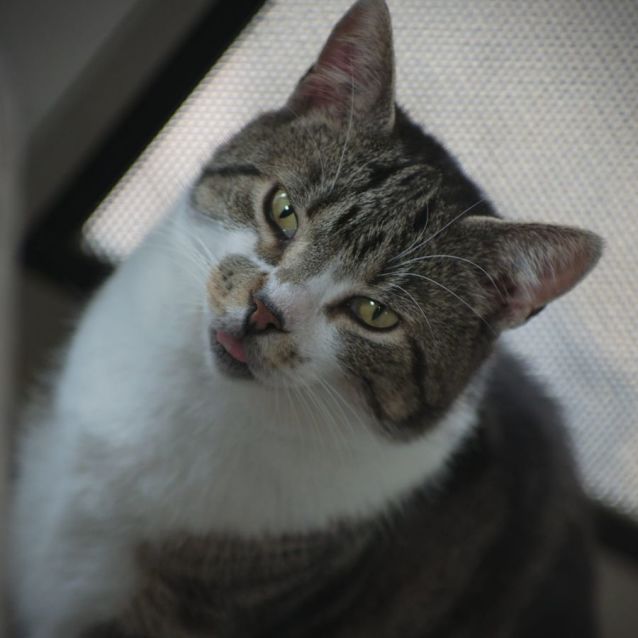 Photo of Norman & Oslo