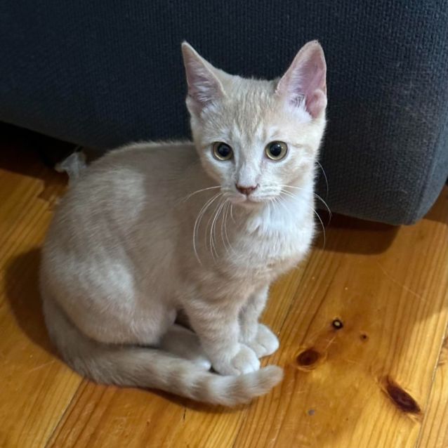 Photo of Princess Peaches