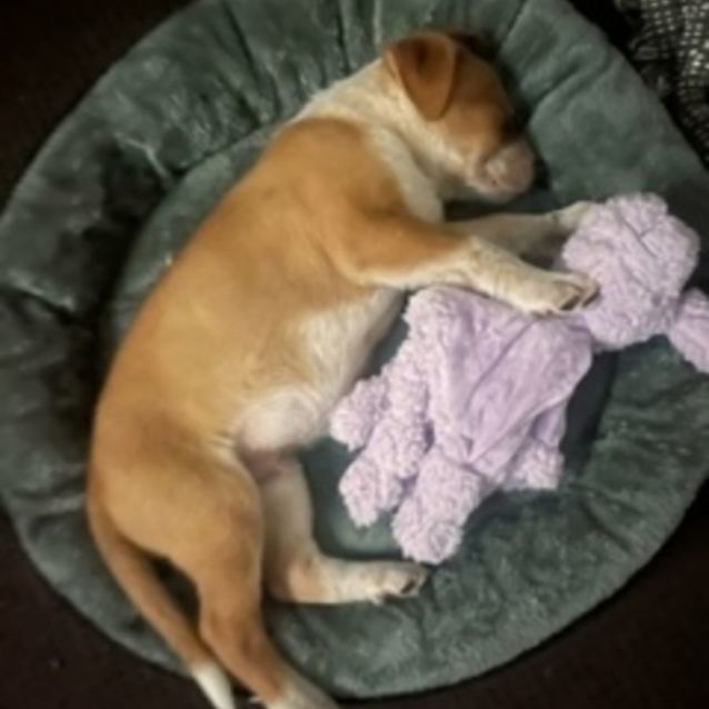 Photo of Kenzo