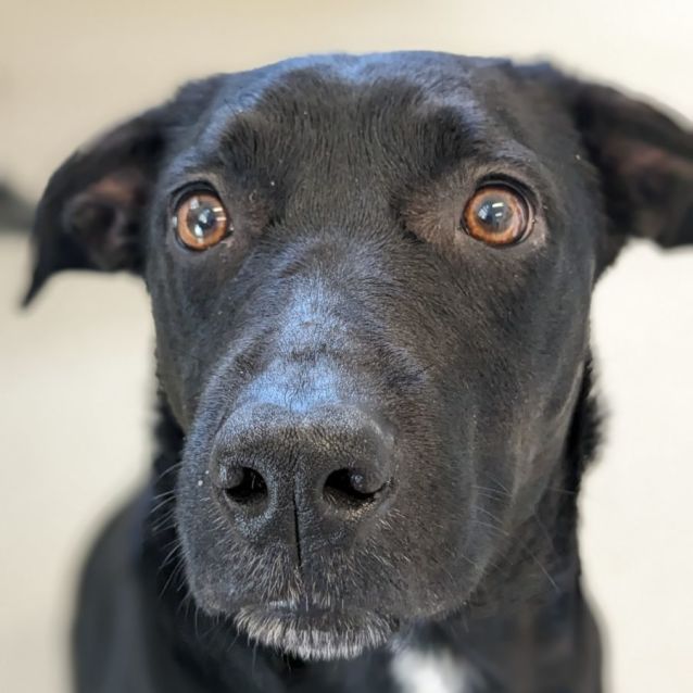 Photo of 🍂 Tess C04645 🍂