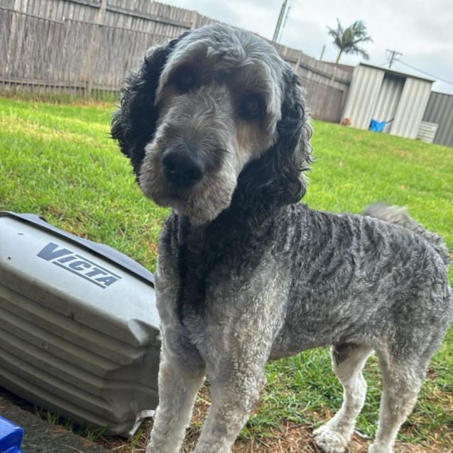 Photo of 💙 Sammy 💙